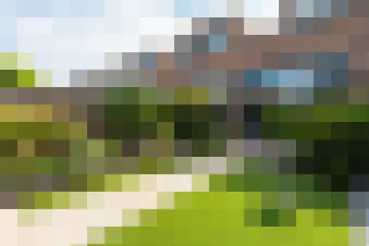 Reling 23 Nijkerk thumbnail 50