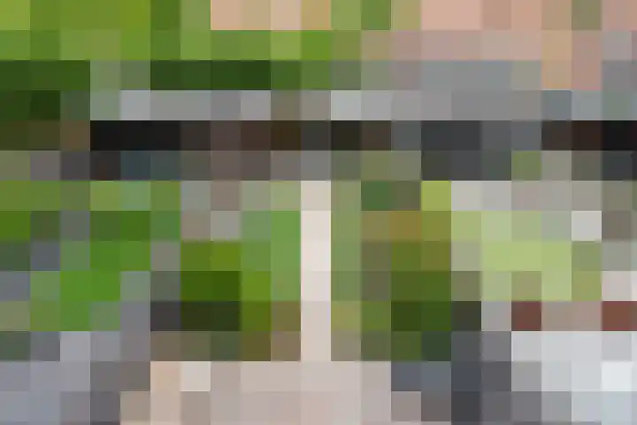 Reling 23 Nijkerk thumbnail 51