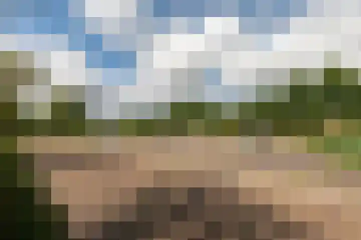 Reling 23 Nijkerk thumbnail 52