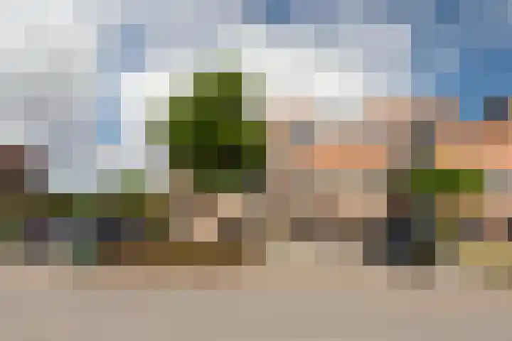 Reling 23 Nijkerk thumbnail 54