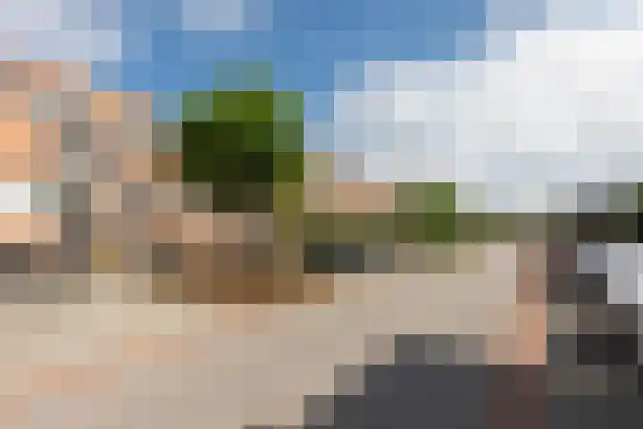 Reling 23 Nijkerk thumbnail 55