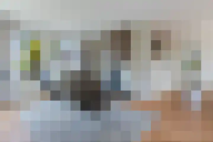 Reling 6 Joure thumbnail 10