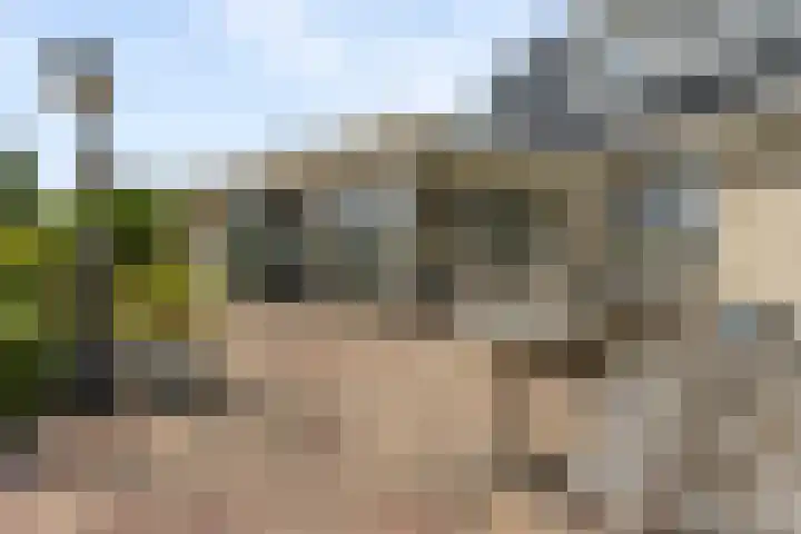 Reling 6 Joure thumbnail 32