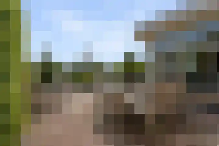 Reling 6 Joure thumbnail 33