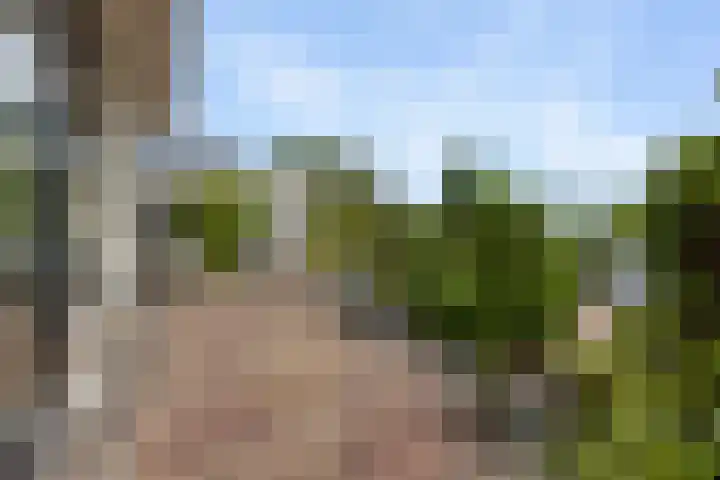 Reling 6 Joure thumbnail 34