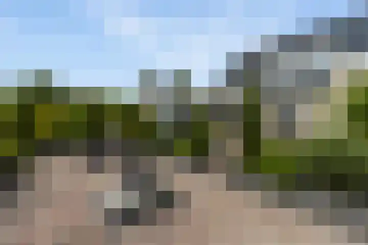 Reling 6 Joure thumbnail 36