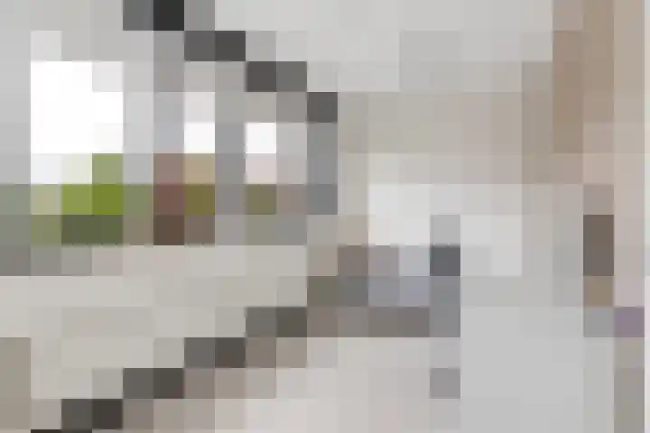 Reling 86 Nijkerk thumbnail 19