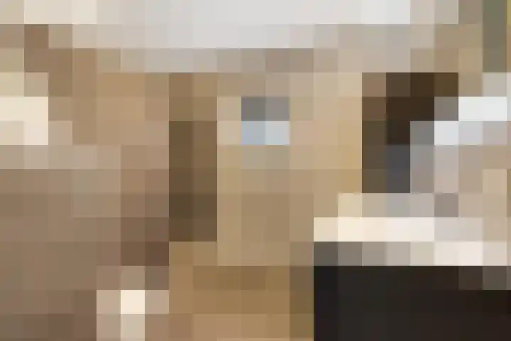 Reling 86 Nijkerk thumbnail 21
