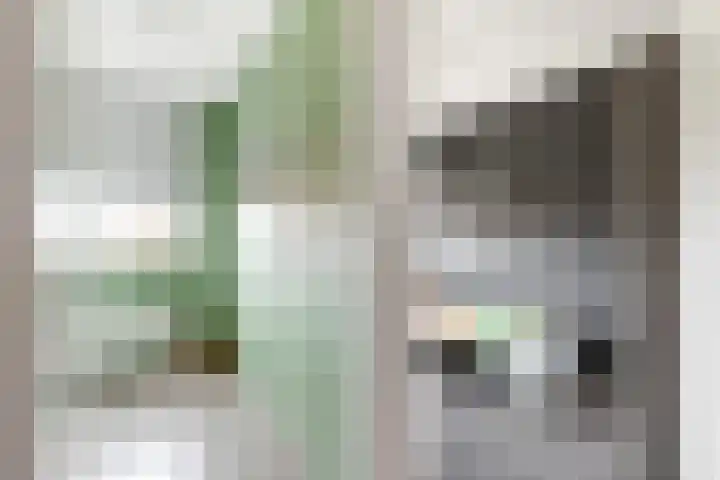 Reling 86 Nijkerk thumbnail 27