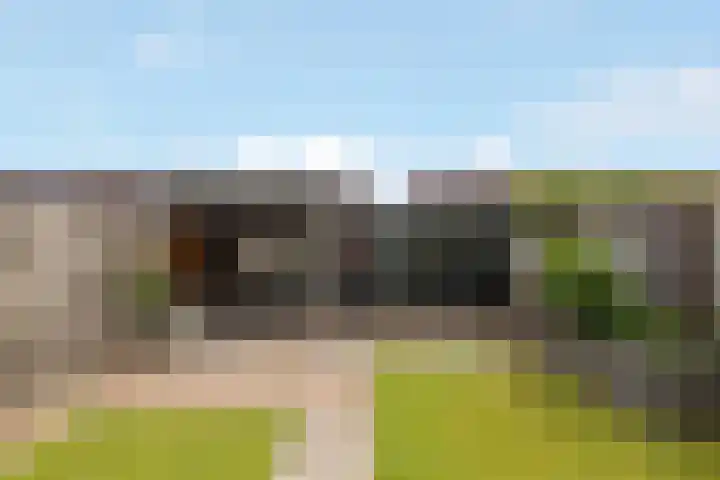 Reling 86 Nijkerk thumbnail 31