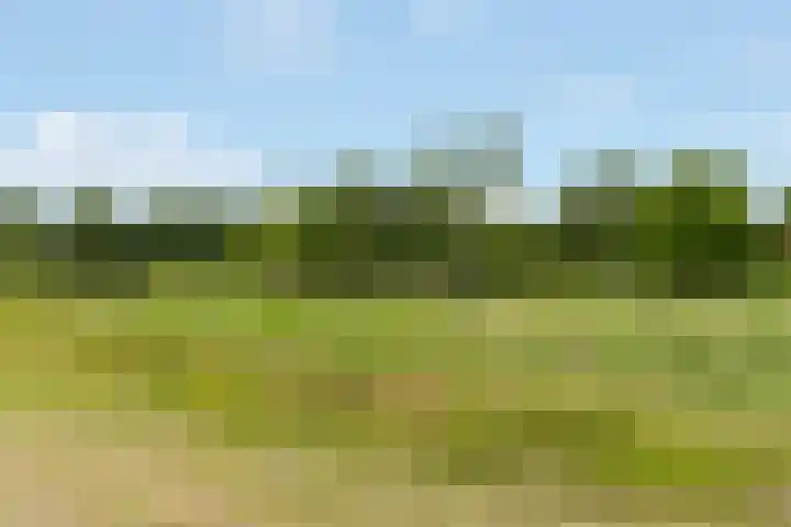 Reling 86 Nijkerk thumbnail 35