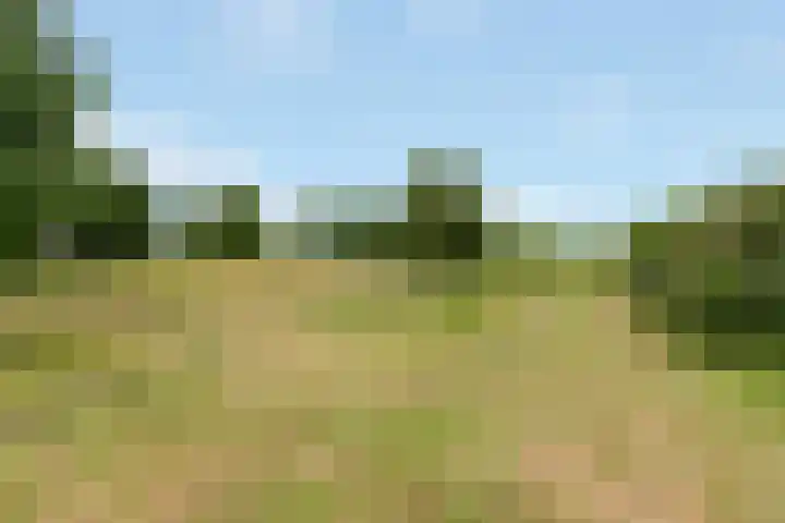 Reling 86 Nijkerk thumbnail 36