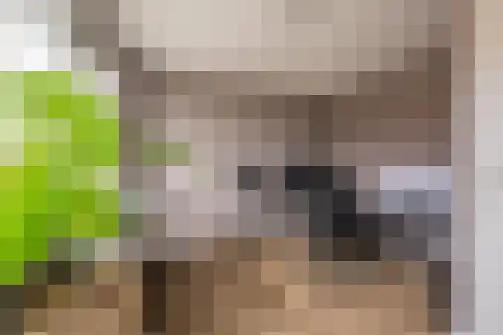 Reling 94 Nijkerk thumbnail 14