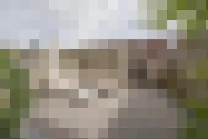 Reling 94 Nijkerk thumbnail 25