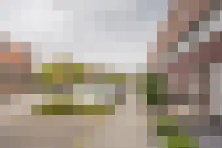 Reling 94 Nijkerk thumbnail 35