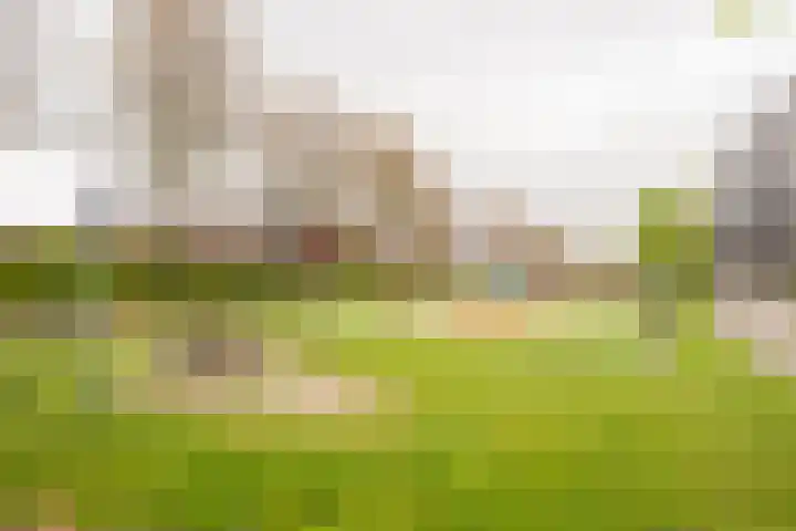 Reling 94 Nijkerk thumbnail 36