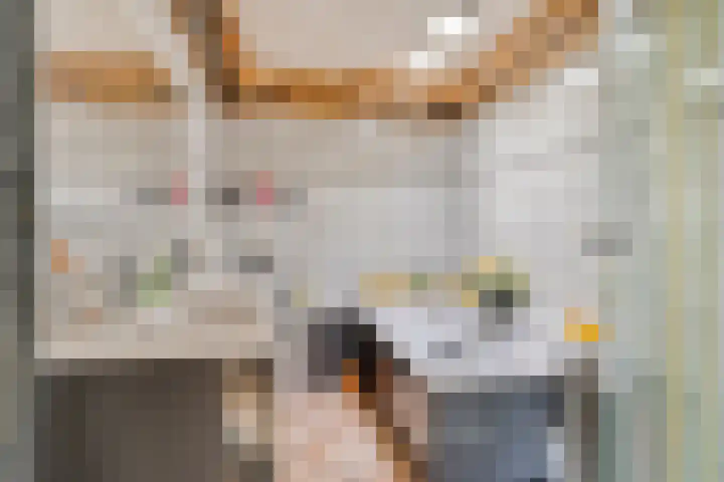 Rembrandtstraat 18 Cuijk thumbnail 7