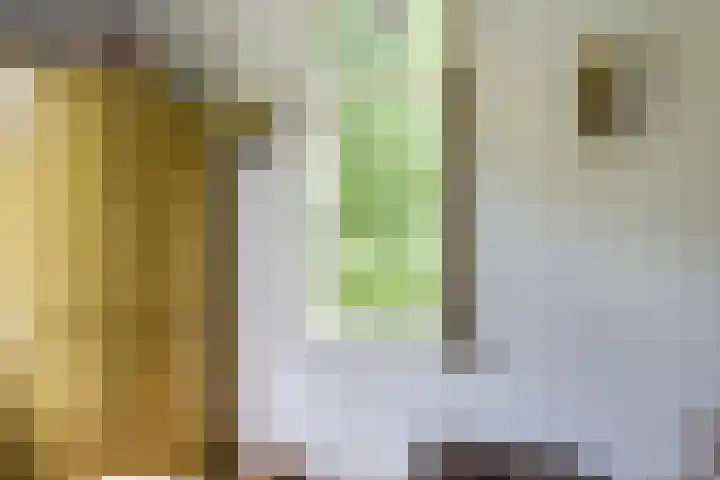 Remise 12 Doorn thumbnail 11