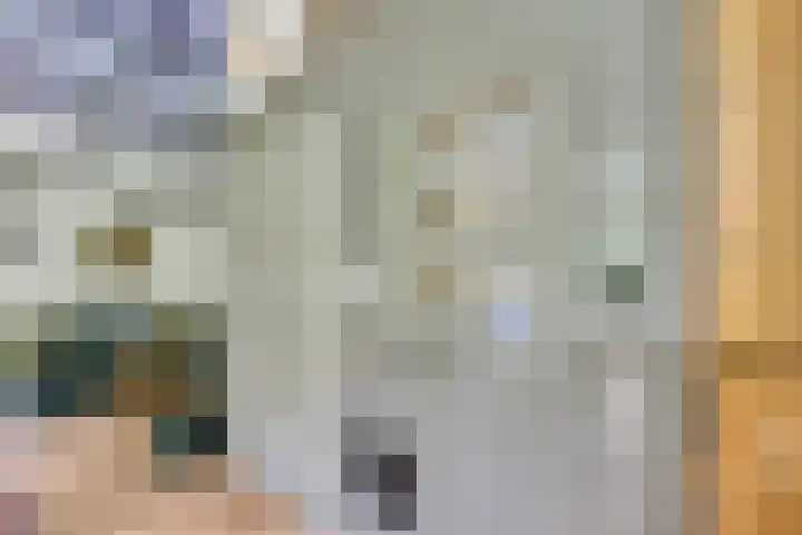 Remise 12 Doorn thumbnail 13