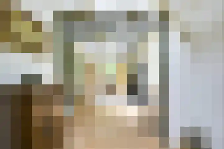 Remise 12 Doorn thumbnail 17