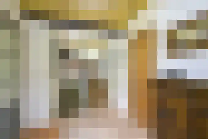 Remise 12 Doorn thumbnail 21