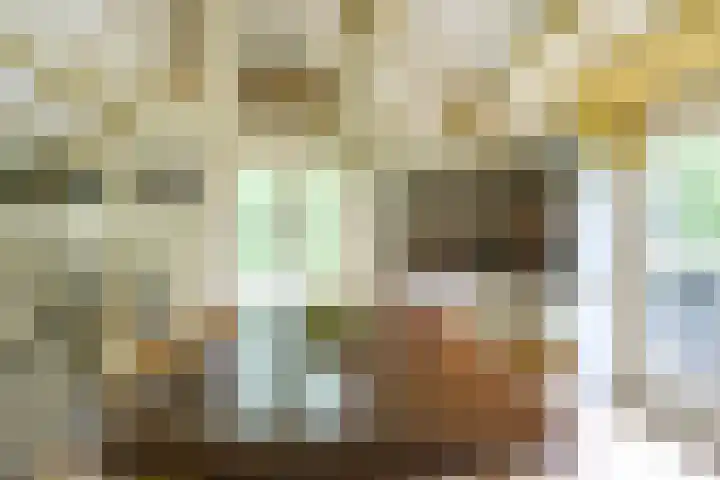 Remise 12 Doorn thumbnail 29