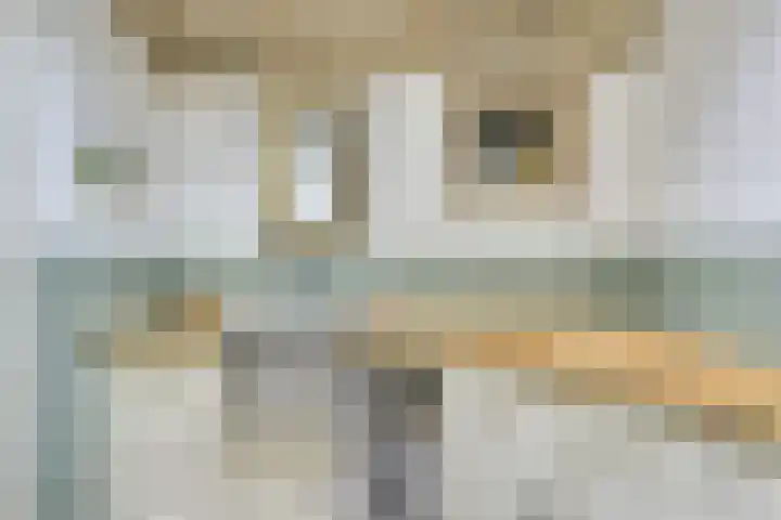 Remise 12 Doorn thumbnail 35