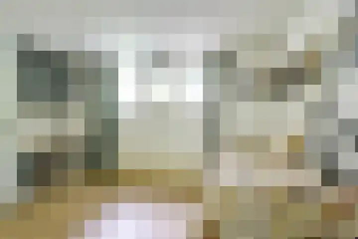 Remise 12 Doorn thumbnail 38