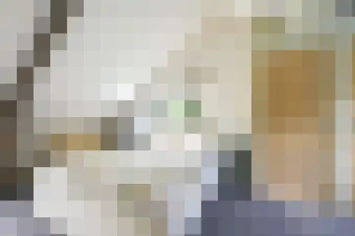 Remise 12 Doorn thumbnail 44