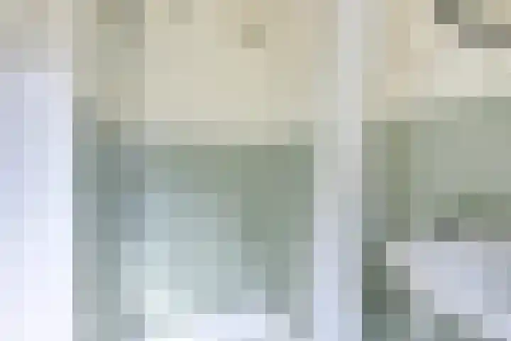 Remise 12 Doorn thumbnail 53