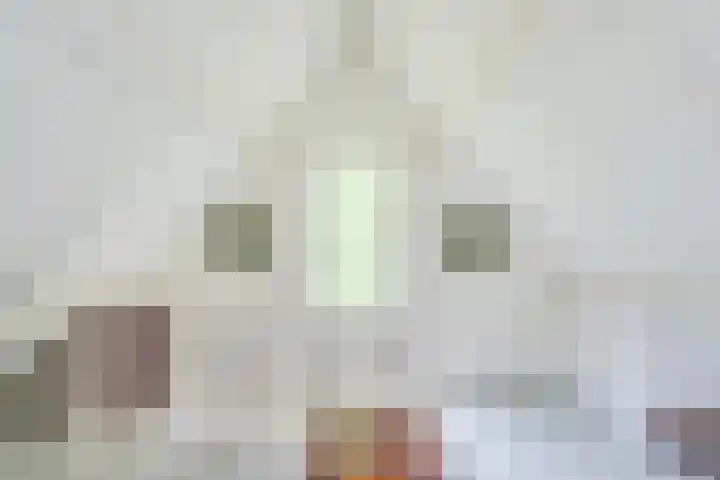 Remise 12 Doorn thumbnail 63