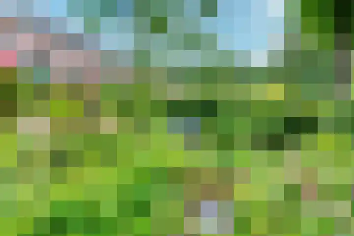 Remise 12 Doorn thumbnail 69