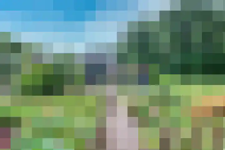 Remise 12 Doorn thumbnail 78