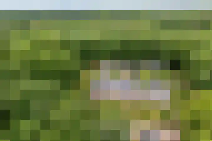 Remise 12 Doorn thumbnail 82
