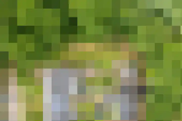 Remise 12 Doorn thumbnail 84