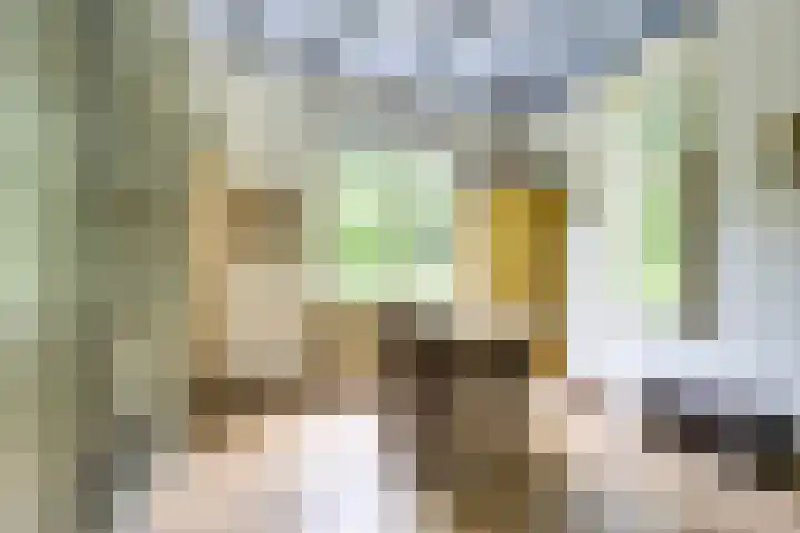 Remise 12 Doorn thumbnail 9