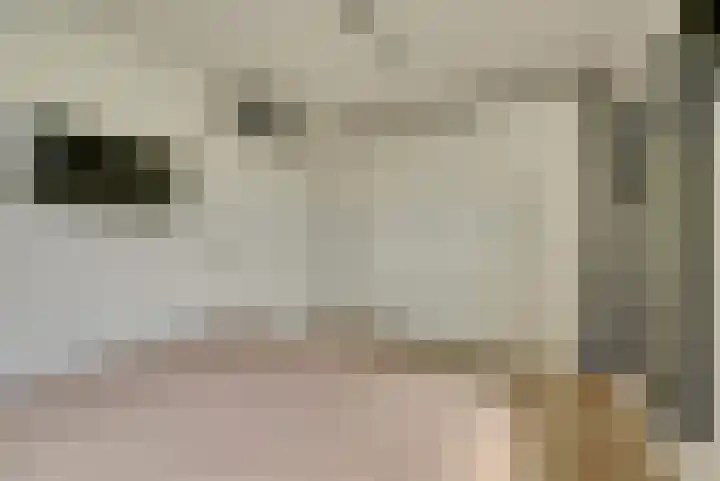 Remmersteinpad 13 Almere thumbnail 16