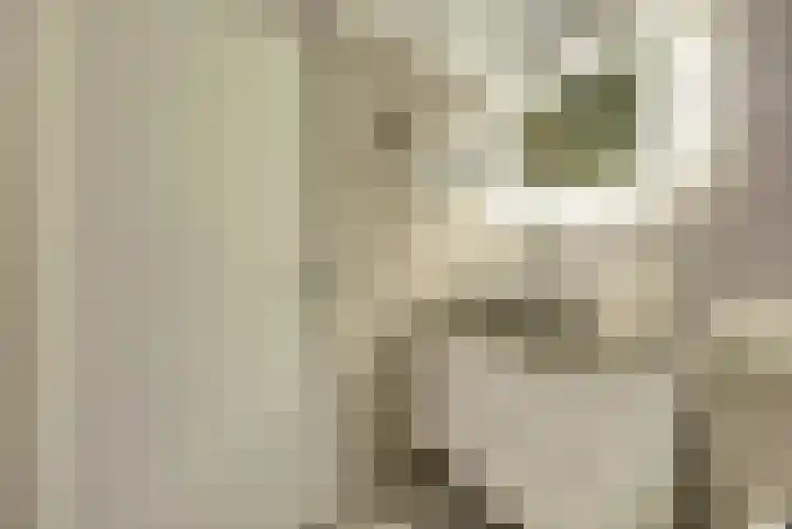 Remmersteinpad 13 Almere thumbnail 20