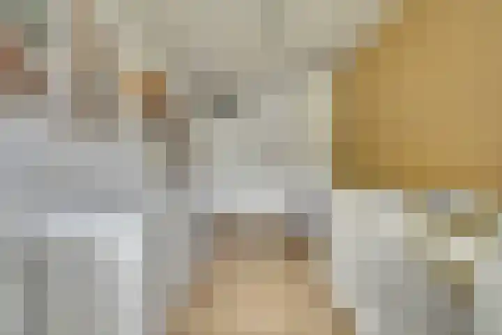 Remmersteinpad 13 Almere thumbnail 22