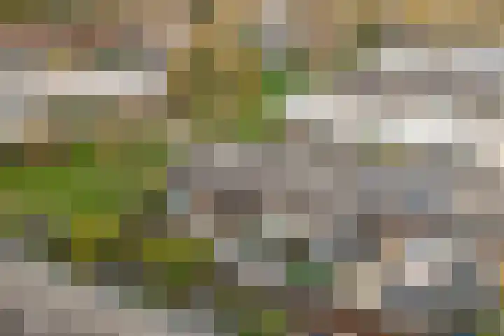Remmersteinpad 13 Almere thumbnail 25
