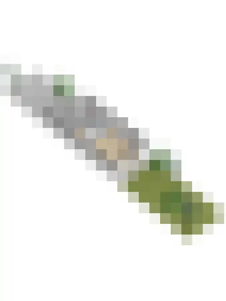 Remmersteinpad 13 Almere thumbnail 32