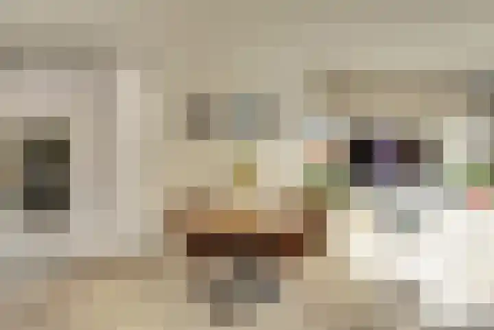 Remmersteinpad 13 Almere thumbnail 7