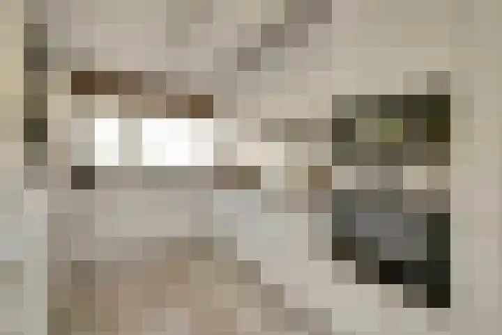 Remmersteinpad 13 Almere thumbnail 8