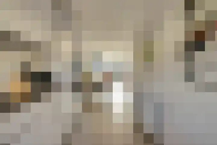 Remmersteinpad 13 Almere thumbnail 9