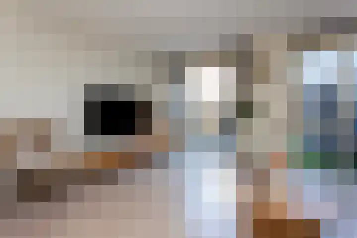 Remus 150 Wijk bij Duurstede thumbnail 10