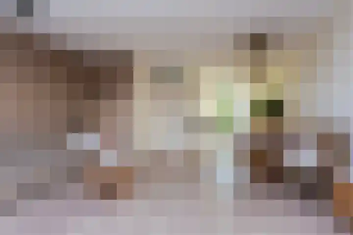 Remus 150 Wijk bij Duurstede thumbnail 12