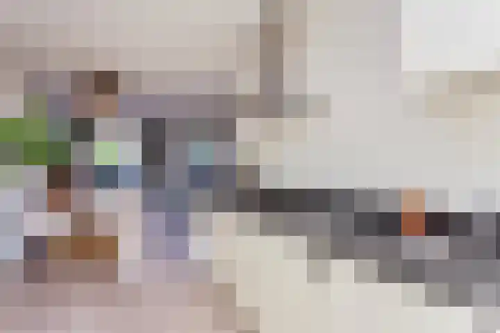 Remus 150 Wijk bij Duurstede thumbnail 13