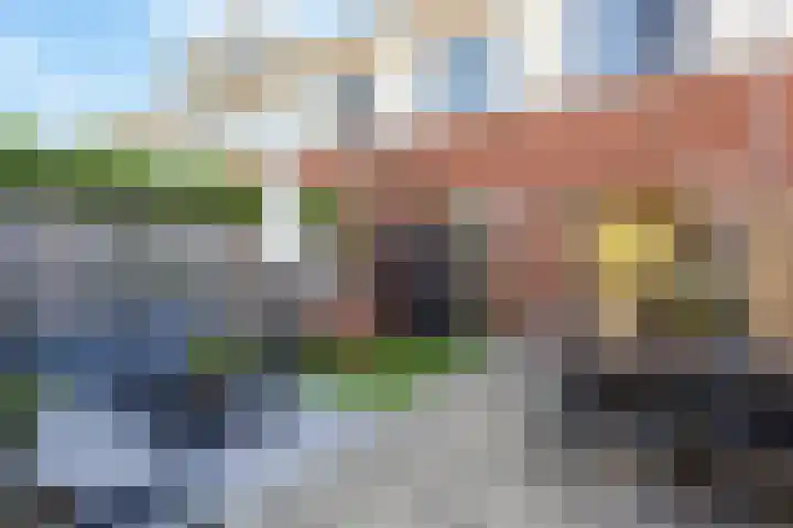 Remus 150 Wijk bij Duurstede thumbnail 18