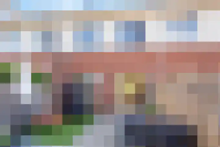 Remus 150 Wijk bij Duurstede thumbnail 19