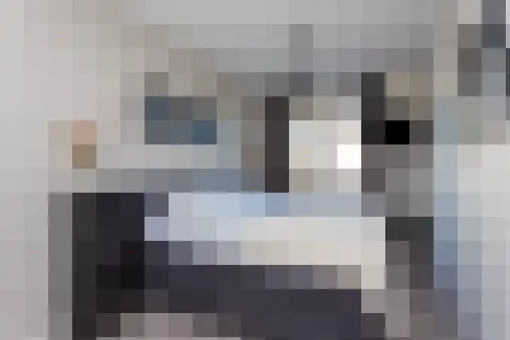 Remus 150 Wijk bij Duurstede thumbnail 21